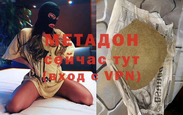 прущие грибы Ельня