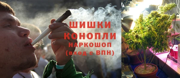 индика Елабуга